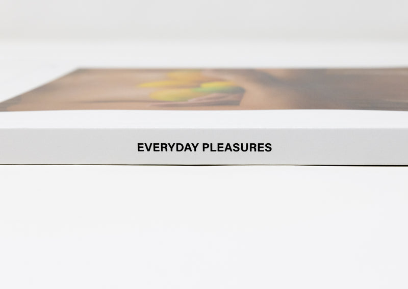 Vol. 2 / Everyday Pleasures Physical Book